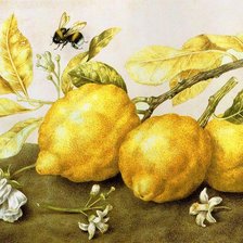 Cross stitch pattern: #1220473