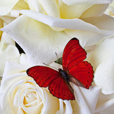 Cross stitch pattern: #1220856