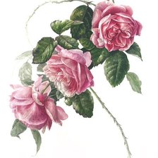 Cross stitch pattern: #1223975