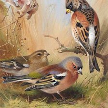 Cross stitch pattern: #1224355