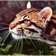 Cross stitch pattern: #1225184