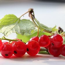 Cross stitch pattern: #1225465