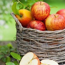 Cross stitch pattern: #1225469