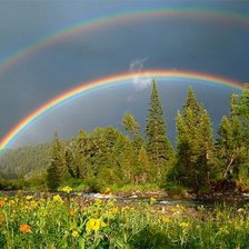 Cross stitch pattern: #1226984