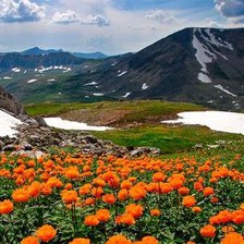 Cross stitch pattern: #1226985