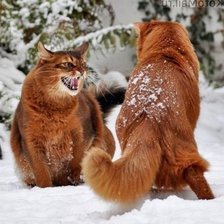 Cross stitch pattern: #1226989