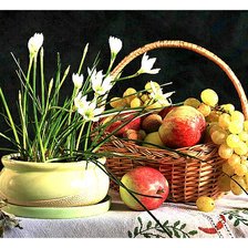 Cross stitch pattern: #1229280