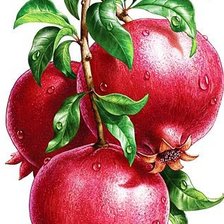 Cross stitch pattern: #1231813