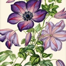 Cross stitch pattern: #1235952