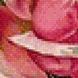 Preview of cross stitch pattern: #1236489