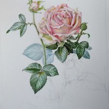 Cross stitch pattern: #1238508
