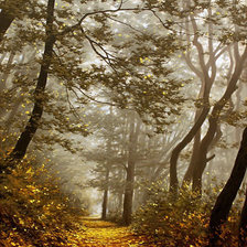 Cross stitch pattern: #1243082