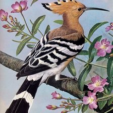 Cross stitch pattern: #1245182