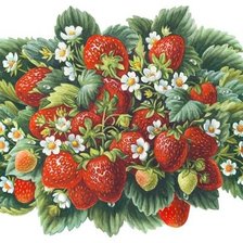 Cross stitch pattern: #1246202