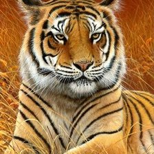 Cross stitch pattern: #1248931