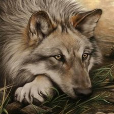 Cross stitch pattern: #1250865