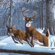 Cross stitch pattern: #1253829