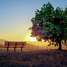 Cross stitch pattern: #1255881