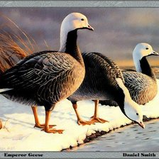 Cross stitch pattern: #1261782