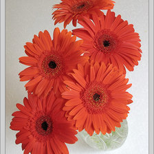 Cross stitch pattern: #1264559
