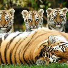 Cross stitch pattern: #1264850