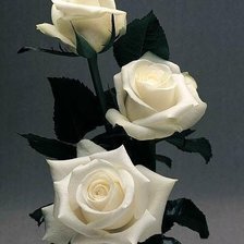 Cross stitch pattern: #1265050