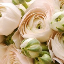 Cross stitch pattern: #1266108