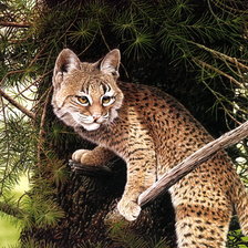 Cross stitch pattern: #1266641