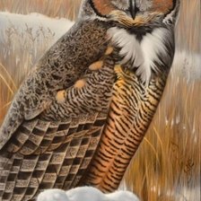 Cross stitch pattern: #1269562
