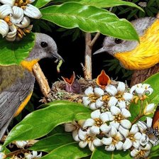 Cross stitch pattern: #1270348