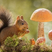 Cross stitch pattern: #1270376