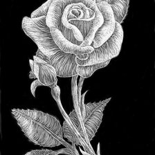 Cross stitch pattern: #1273542