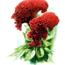 Cross stitch pattern: #1274182