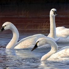Cross stitch pattern: #1274827