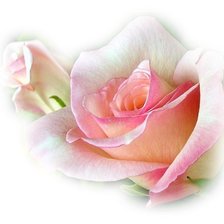 Cross stitch pattern: #1275338