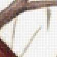 Preview of cross stitch pattern: #1276135