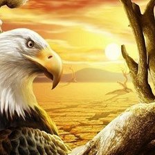 Cross stitch pattern: #1276224