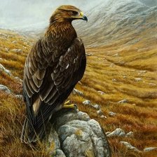 Cross stitch pattern: #1276229