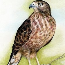 Cross stitch pattern: #1277458