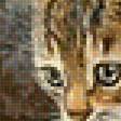 Preview of cross stitch pattern: #1279204