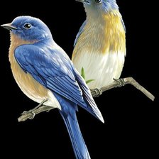 Cross stitch pattern: #1284738