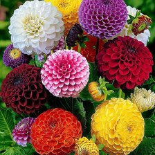 Cross stitch pattern: #1284751