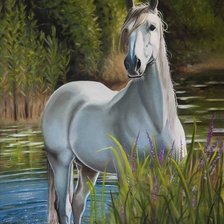 Cross stitch pattern: #1284827