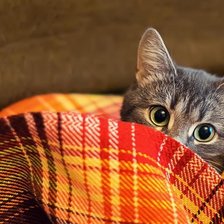 Cross stitch pattern: #1286068