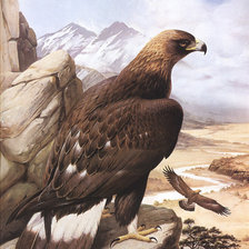 Cross stitch pattern: #1286357