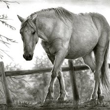 Cross stitch pattern: #1287321