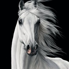 Cross stitch pattern: #1289401