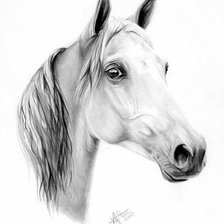 Cross stitch pattern: #1290880