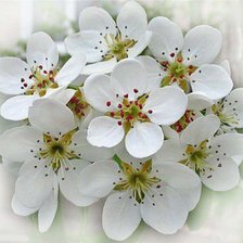 Cross stitch pattern: #1290917