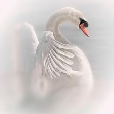 Cross stitch pattern: #1292169